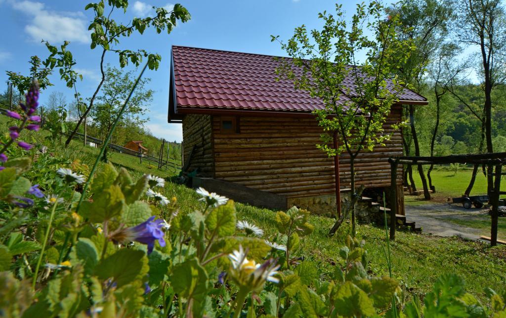 Chalet River Apartment Veljun Cameră foto